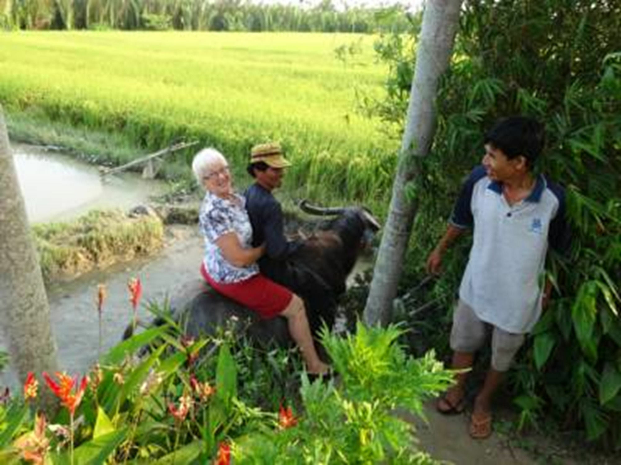 Hoi An Life Villa ภายนอก รูปภาพ